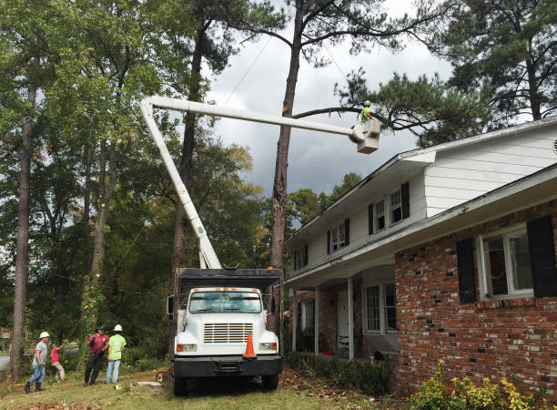 Seasonal Cleanup in St Joseph, IL